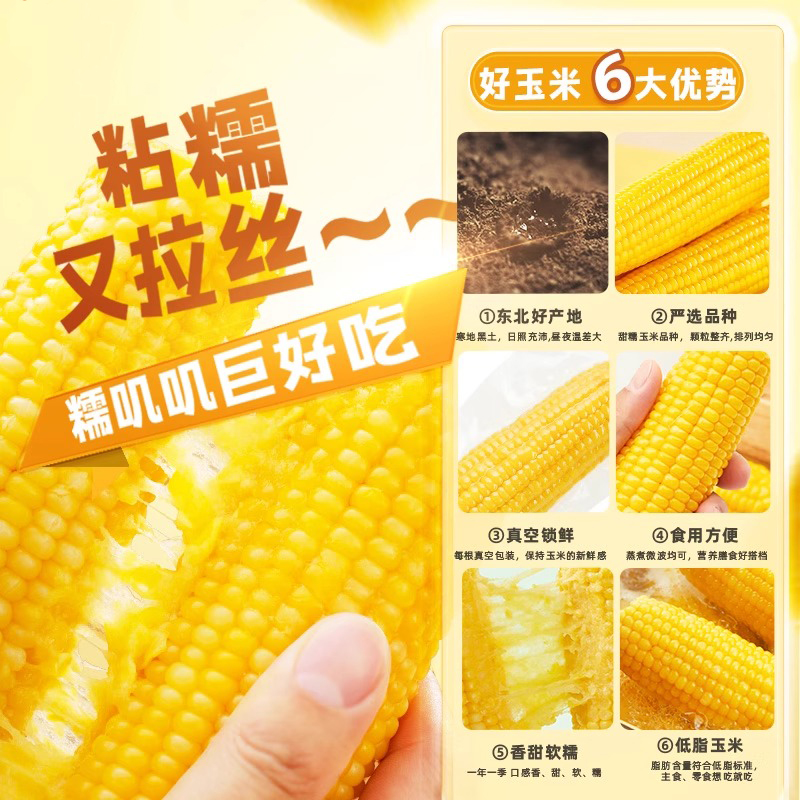 肇玉 黄糯玉米 4.8斤(240g*10根) 东北甜黏玉米棒 早餐苞米 真空包装高清大图