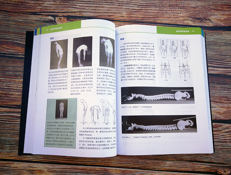 [正版]肌肉测试与功能 姿势与疼痛 方法指南运动康复李哲直播北京科学技术出版社高清大图