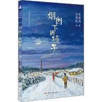 正版新书]常新港经典长篇系列•烟囱下的孩子常新港978750160882