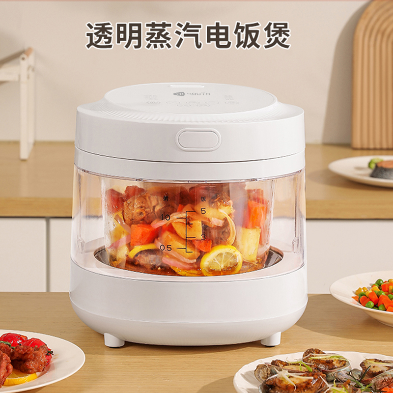 艾青春(AIYOUth) 玻璃无涂层家用电饭煲透明可视饭煲3L电炖锅电饭锅 AI-FB558