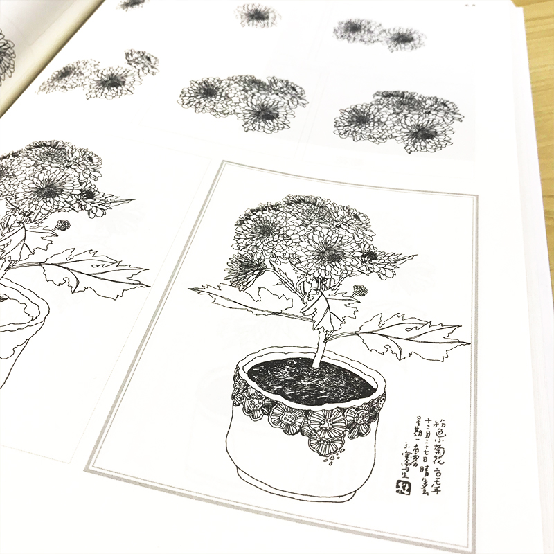 醉染图书写生真容易9787102080345高清大图