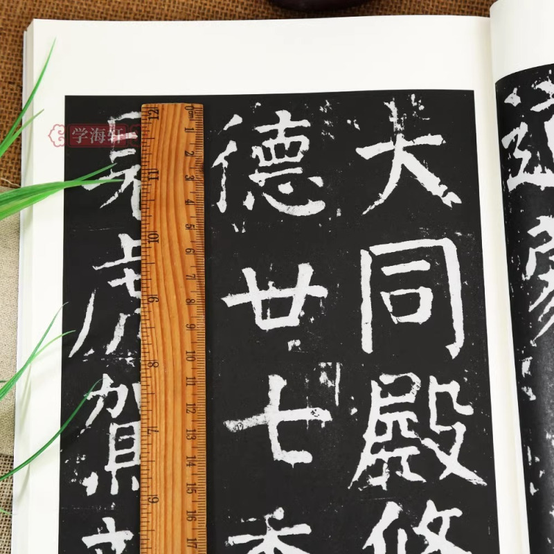 [正版]套装9册正书+篆隶+行草上中下全套 书法自学丛帖系列 毛笔软笔碑帖楷书行草篆书书法练字帖入门教程附简体旁注上海
