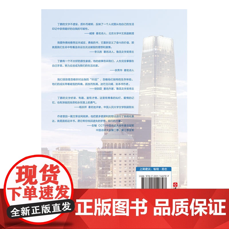 所谓岁月静好,不过是敢向命运叫板 丁鹏 天津人民出版社 正版书籍高清大图