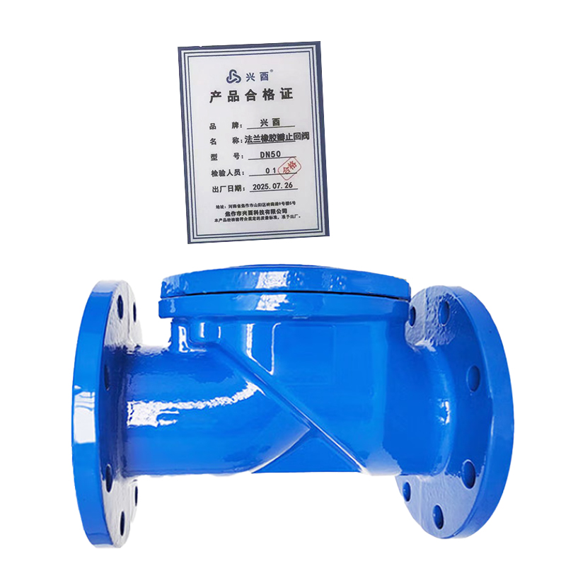 兴酉 法兰橡胶瓣止回阀 DN50 个高清大图
