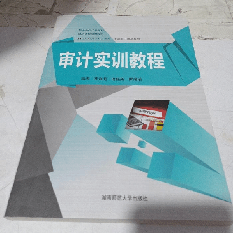 正版新书]审计实训教程李兴尧9787564825997图片