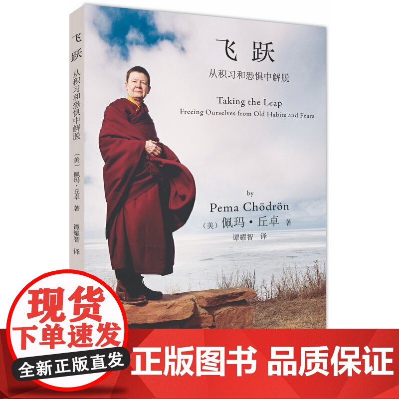 《飞跃:从积习和恐惧中解脱》广受西方世界尊崇的女性佛教导 佩玛丘卓 译者:谭耀智 深圳报业集团出版社 正版书籍高清大图