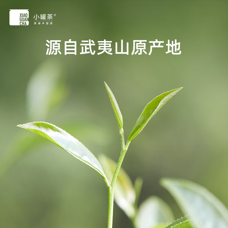 小罐茶 大师系列·大红袍茶金罐10罐装(单位:盒)高清大图