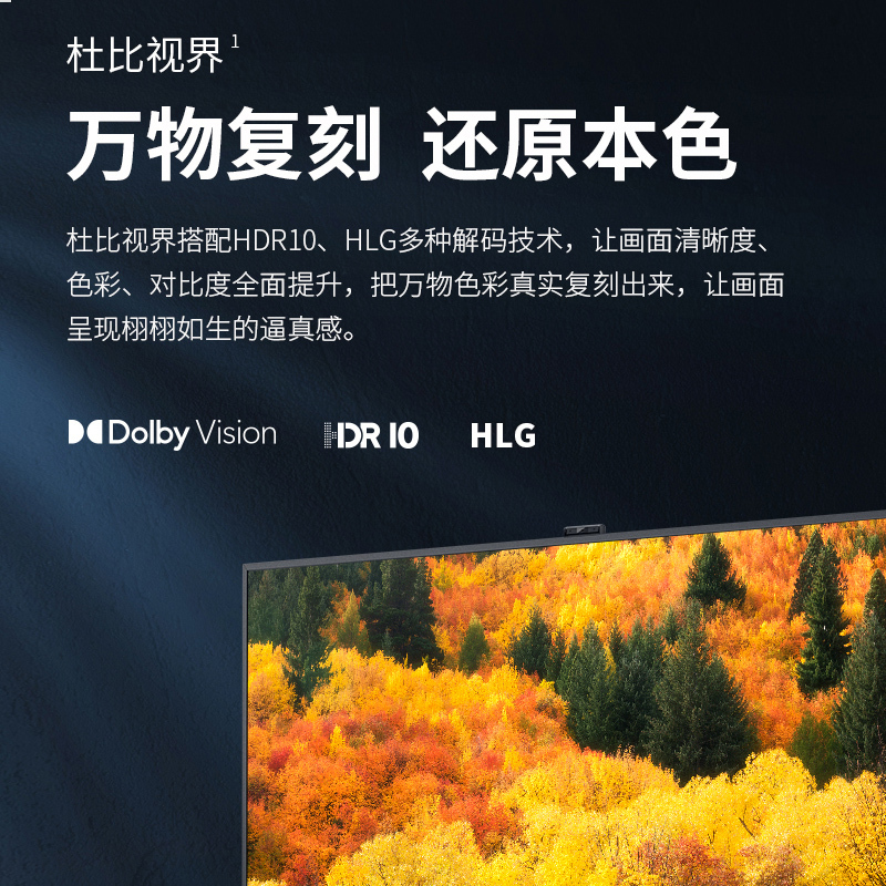 夏普 4T-M75U5EA/75U6EA 75英寸4K全面屏智能光控3+32G运动补偿智能自升降摄像头智能网络电视