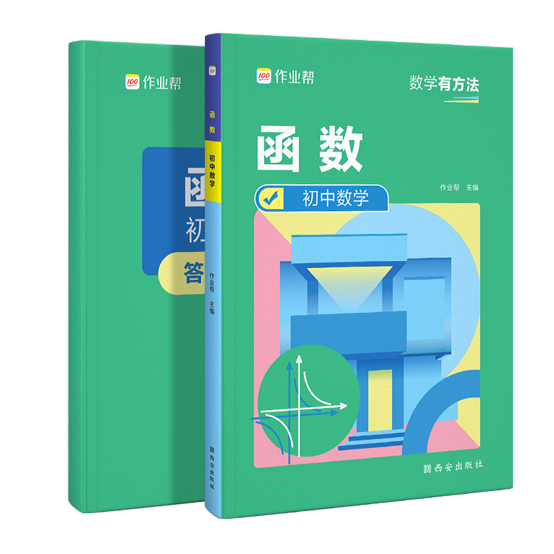 函数 初中通用 [正版]数学有方法初中函数中考挑战压轴题精讲精练专项练习初一初二初三复习资料中考必刷题题型全归纳真题必刷