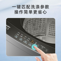 海尔(Haier)8公斤 家用 全自动波轮洗衣机自编程速洗除菌洗漂脱可调 以旧换新XQB80-Z606