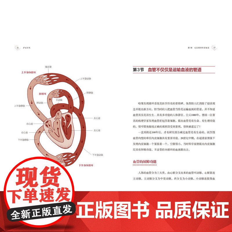 生活.护心时代伍焜玉心血管血管三高高血压脑卒中中风冠心病看懂的心血管养护续命书7大心血管揭秘血管硬化心梗卒中高清大图