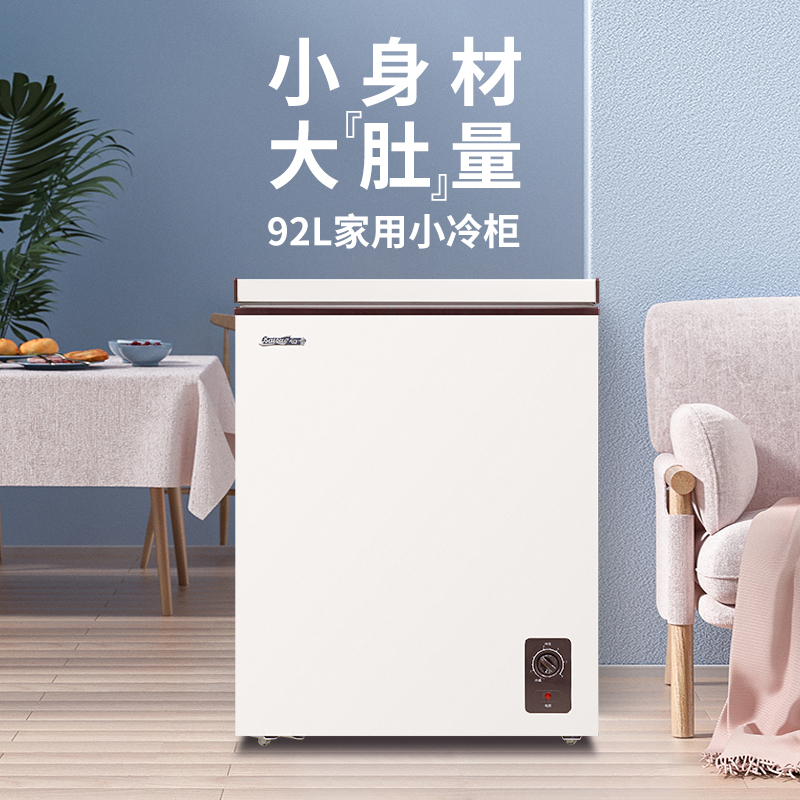 白雪冷柜BD/C92DS家用小冰柜2023象牙白冷冻冷藏转换冷冻箱