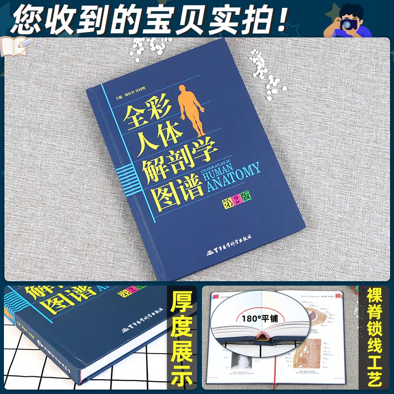 [正版]人体解剖彩色学图谱医学人体解剖全书生理学人体模型人体筋膜系统功能人体结构造骨骼肌艺术挂图谱中英文标识军事医学图高清大图