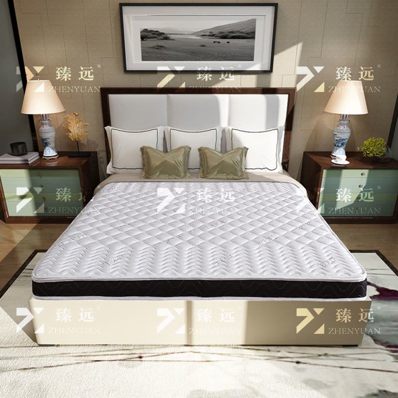 臻远 ZY3120917棕垫护脊3E椰棕床垫1200*2000图片