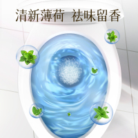 净芬日本进口马桶坐便圈清洁剂神器卫生间除臭去异味留香强力除垢去黄380ml