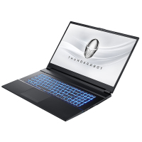 雷神 911MP伪装者(十代i7-10750H 16GB 512GB+1TB GTX1660Ti/6G 144Hz)17.3英寸轻薄本设计编程游戏玩家游戏本设计笔记本电脑定制