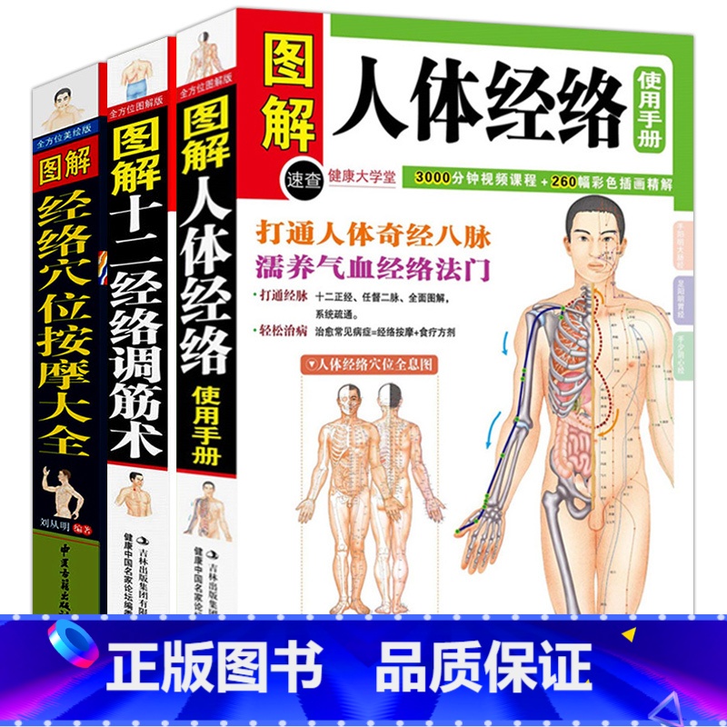 【正版】全3册图解十二经络调筋术图解书人体经络图解经络穴位按摩大全穴位图穴位书籍 图解手法