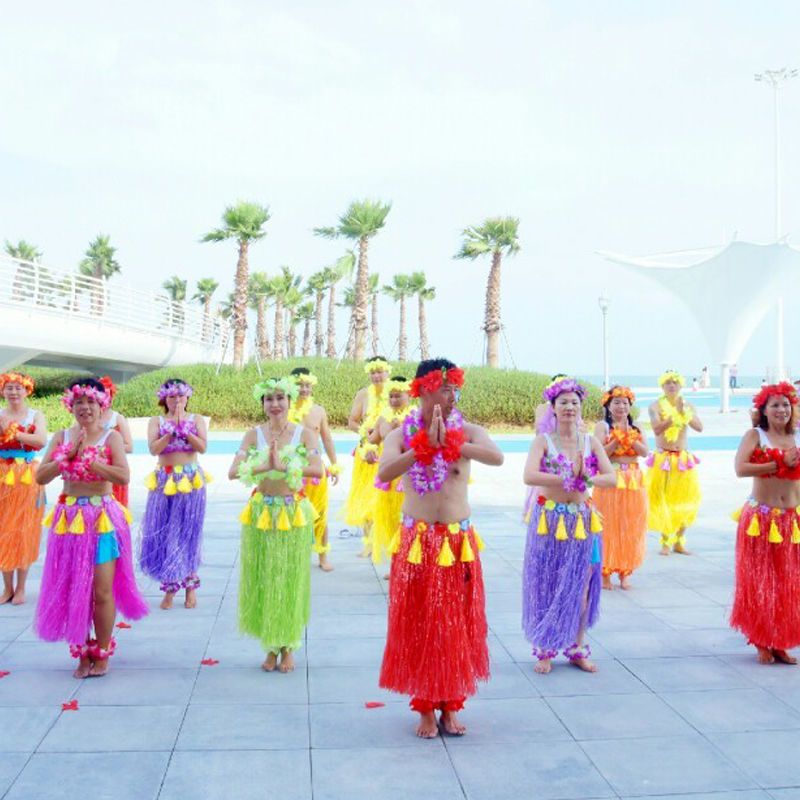 图书>艺术>舞蹈>图书其它>夏威夷草裙舞服装节日演出服表演成人草裙
