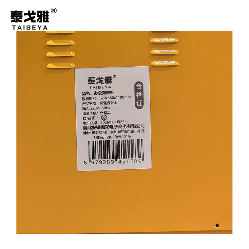 泰戈雅 办公充电柜 620x380x1100mm 台高清大图