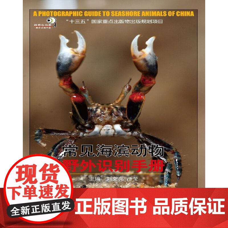 常见海滨动物野外识别手册高清大图