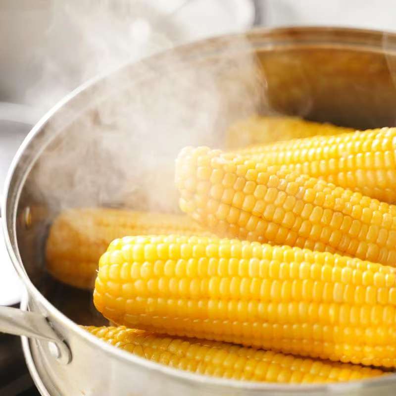 肇玉 黄糯玉米 4.8斤(240g*10根) 东北甜黏玉米棒 早餐苞米 真空包装高清大图