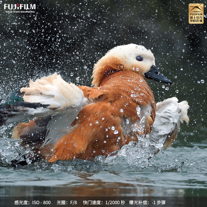 [有货]FUJIFILM)xh2s微单 单机身 标配 无反单电数码照相机6K视频高速连拍五轴防抖 X-H2S单机身 官方标配