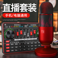 十盏灯 T2-1声卡唱歌手机专用话筒直播声卡套装设备全套K歌主播网红抖录音手机麦克风快手喊麦苹果通用