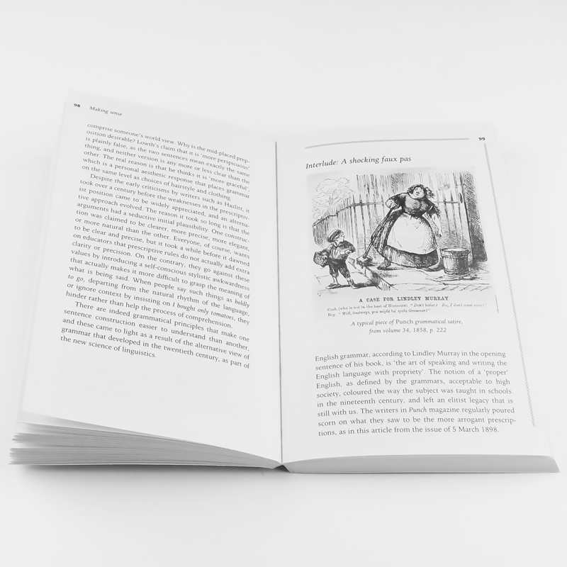 [正版]理解 英语语法的故事 英语原版 Making Sense The Glamorous Story Of Eng高清大图