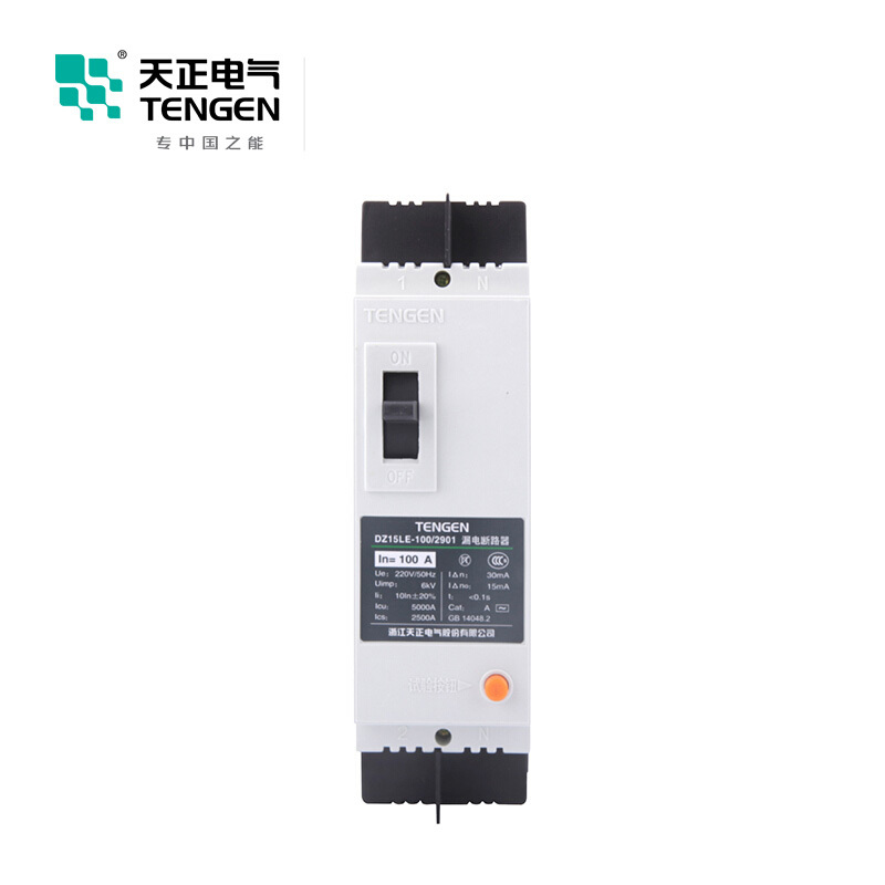 天正电气DZ15LE-100 5KA热磁式100A 2P 手动 固定式 220V 01020010008 塑壳漏电断路器