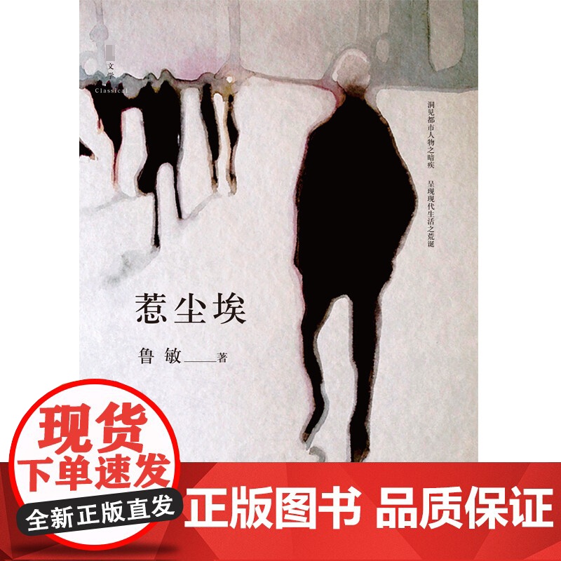 惹尘埃 鲁敏 著 小说高清大图