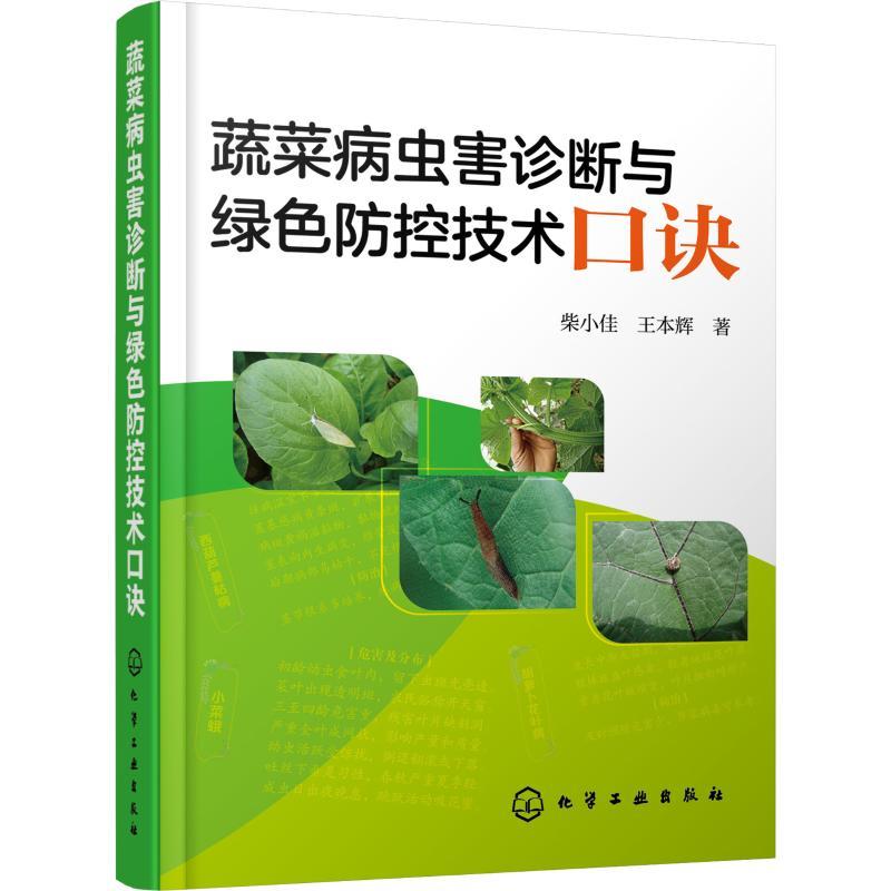 音像蔬菜病虫害诊断与绿色防控技术口诀柴小佳,王本辉著