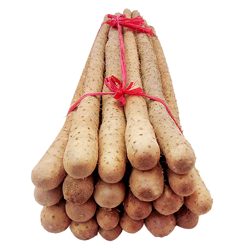 温县铁棍山药河南焦作铁棍山药铁杆淮山药垆土新鲜野生山药5斤装长