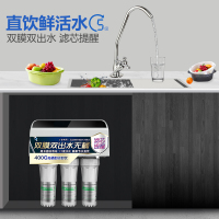 佳尼特/Chanitex 家用直饮反渗透净水器 纯水机 厨下式 直饮机 CD400-C-C-6 即滤即饮净水机