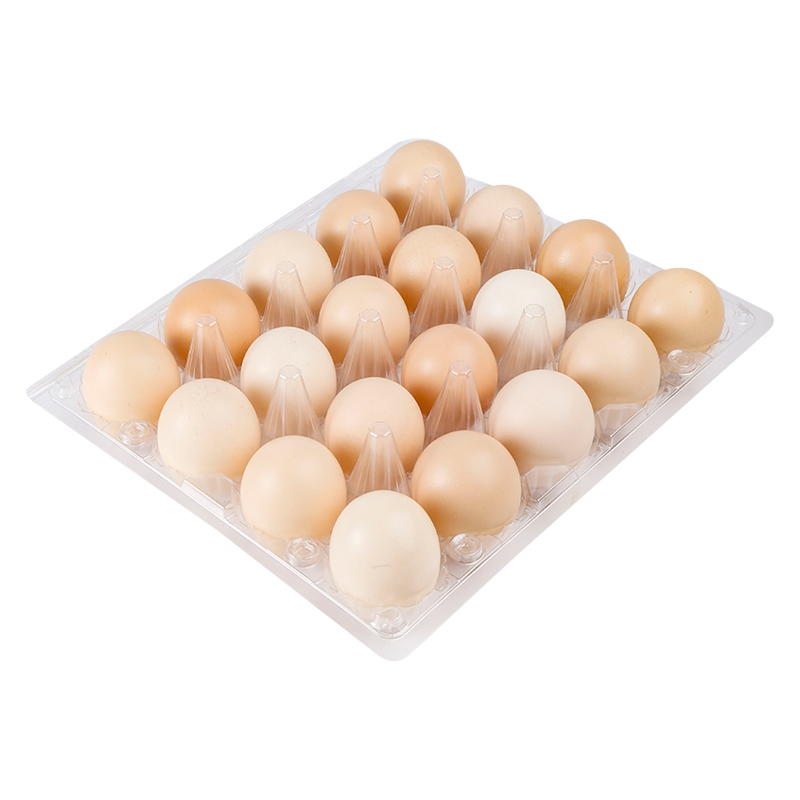 鸟王五谷蛋20枚