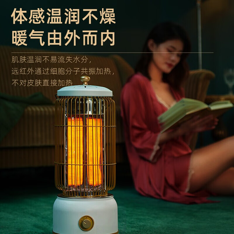 艾美特(Airmate) WR8-X4-1 取暖器 小太阳复古马灯鸟笼子电暖气 节能省电速热烤火炉高清大图
