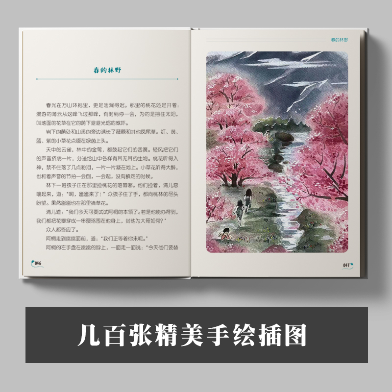 纸船和风筝 [正版]名家阅读课1-6年级阅读版全19册慢大象的耳朵性子裁缝和急性子顾客带刺的朋友落花生少年中国说小白船•