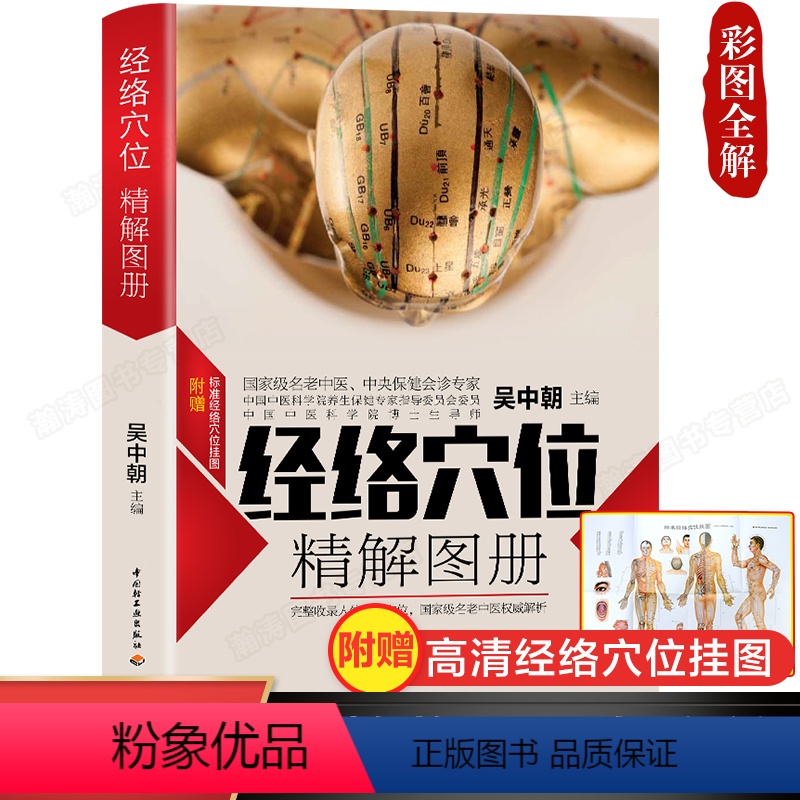 [正版]完整版人体经络穴位图解书籍图册 中医经络图解养生书籍 中医经络穴位按摩大全书籍使用手册 十二经络书 艾灸刮痧穴高清大图