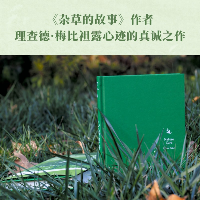 醉染图书心向原野 自然如何治愈了我9787020175208高清大图