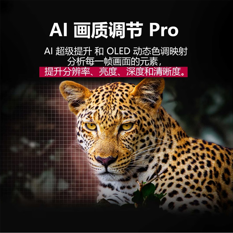 [2025款]LG OLED55C5PCA 55英寸C4升级款纤薄贴墙安装 144Hz高刷OLED游戏电视高清大图