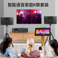 山水(SANSUI) SP9-10 家用客厅电视家庭影院KTV音响K歌套装卡拉OK组合音箱 3T智能语音点歌机