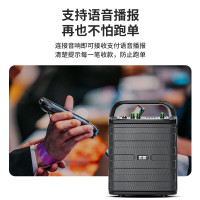 索爱(soaiy)SA-F33手提音响高低音户外k歌大音量广场舞电木吉他乐器音箱直播小型家用音箱 双麦