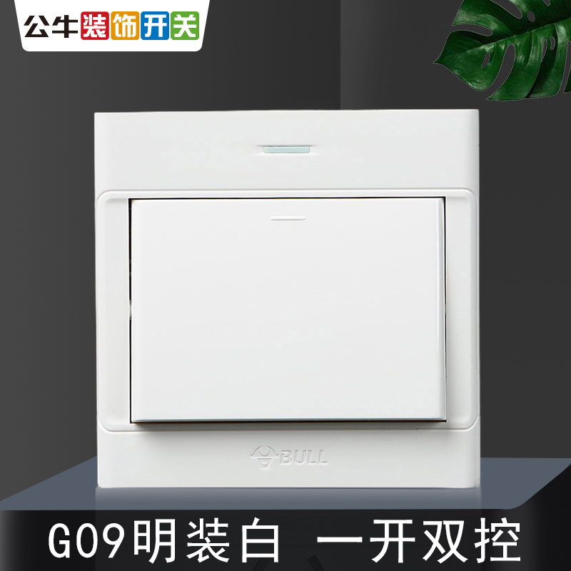明装双控开关