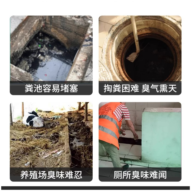 下水道旱厕堵塞微生物融化除臭降解剂化粪池大便溶解剂强力化粪剂