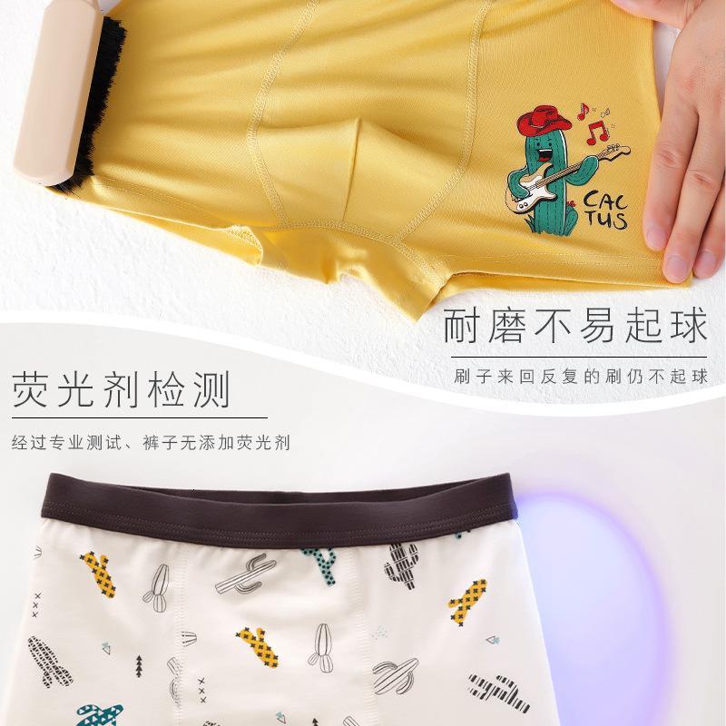 派蒂兔(Paiditu)两条装卡通男童内裤纯棉儿童平角裤小中大童底裤青少年内裤童装儿童内裤