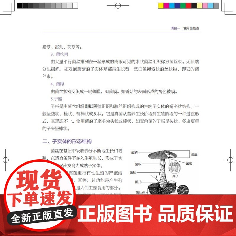 教材-食用菌生产技术高等职业教育生态林业专业群特色教材王海霞2025年1月印1版1印9787518451371新形态活页高清大图