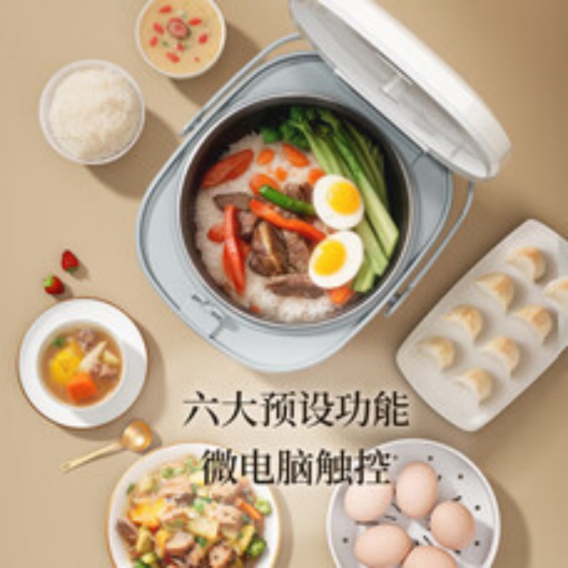 志高(CHIGO)电饭煲4L FBD40-P高清大图