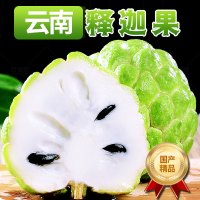 [熊猫鸟]云南释迦果 净重1斤 中果 单果100-200g 精选释迦果 牛奶释迦番荔枝 佛头果 新鲜热带水果