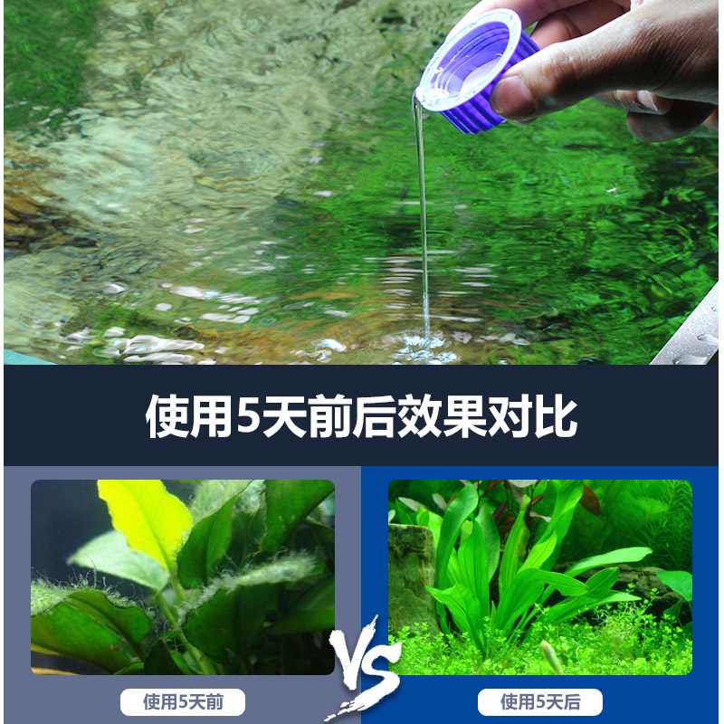 鱼池除苔剂除藻剂去藻除青苔绿水鱼塘除苔素水族箱除藻药水除青苔高清大图