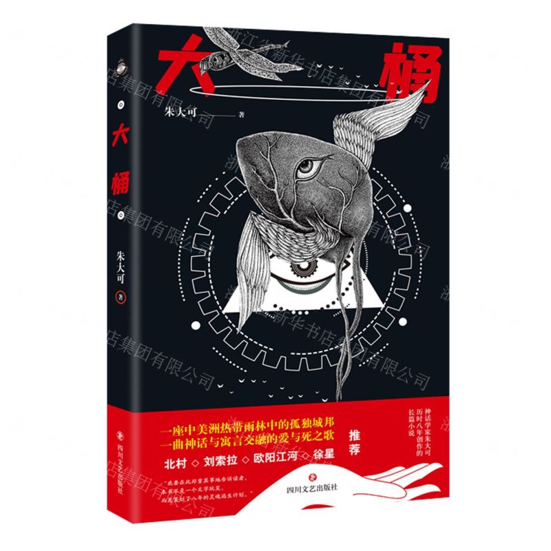 [N]大桶(精)-9787541163920高清大图