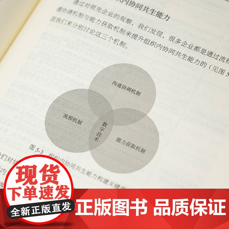 套装 共生理念 组织范式的转变+协同共生论 组织进化与实践创新 套装全2册 陈春花 组织管理 协同共生 组织转型企业高清大图